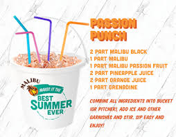 Would you like any fruit in the recipe? Malibu Bucket Recipe Bucket Recipe Malibu Rum Drinks Rum Cocktail Recipes