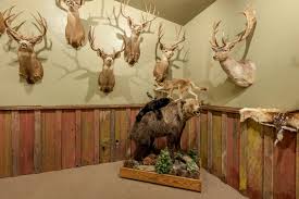 We did not find results for: African Safari Game Room Hunting Fishing Trophy Room Rustic Family Room Sacramento By Design Classics Houzz