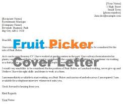 Sample cover letter during pandemic. Fruit Picker Cover Letter Example Icover Org Uk
