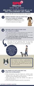 We did not find results for: Reglement D Application De La Loi Sur L Encadrement Des Chiens Spa Mauricie