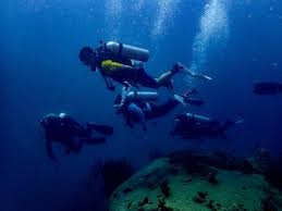 Pulau payar kuah şehrinden botla 1 saat uzaklıkta, malezya'da en iyi deniz parkı olarak sınıflandırıyorum. Pulau Payar Marine Park Langkawi Island Ticket Price Timings Address Triphobo