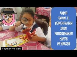 Salin dan tampal kanta pembesar condong ke kiri emoji untuk iphone, android dan dapatkan kod html. Teacher Nur Lisa Youtube