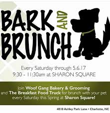 Clark is a sweet, happy, funny young man who enjoys playing with toys and people, a good romp in the yard and a cozy sofa in the house. Bring Your Pup To Woof Gang Bakery Southpark For Our Bark And Brunch Dog Fundraiser Animal Rescue Fundraising Animal Shelter Fundraiser
