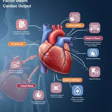 Image result for Cardiac Output