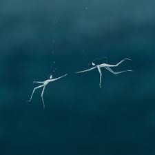 Skinny dipping is swimming, but without the swimsuit. Stream Skinny Dipping By Josh Savage Listen Online For Free On Soundcloud