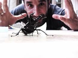 🎈Socks&iPhone 🎈 (@socksandiphone)