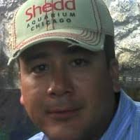 100+ perfiles de «Calvillo»