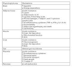 Pathophysiology Of Gestational Diabetes Mellitus European Medical Journal