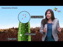 Maybe you would like to learn more about one of these? Plant Growth Regulators Types Its Role In Plant Growth