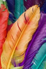 خلفيات موبايل سامسونج 2017 اجمل خلفيات سامسونج hd feather background colorful feathers canvas art prints
