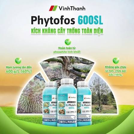 Phytofos 600SL