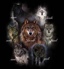 Jacob S Wolf Pack Names Twilight Wolf Pack Twilight Saga Books Twilight Wolf