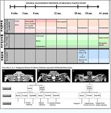 Dr Nath Brachial Plexus Injury Expert Specializing In