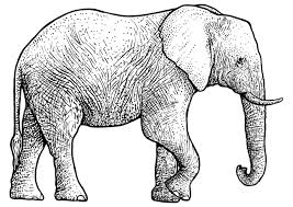 Mewarnai gambar gajah kreasi warna. Contoh Gambar Belajar Mewarnai Gajah Kataucap