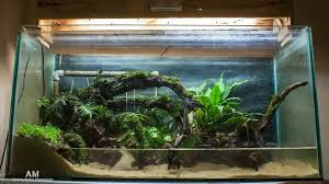 Spiffy Pet Products Pet Product Ideas Reviews And Care Tips For Your Cat Dog Fish Bird Or Other Small Pets Pet Fish Small Pets Aquarium