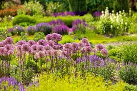 Jardin Des Sens Merzig En Allemagne Mit Bildern Garten Garten Ideen Rosen Beet