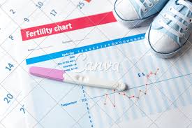 Pregnancy Test And Baby Shoes On Fertility Chart Photos By
