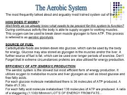 The anaerobic lactic system runs without requiring oxygen and burns glucose (carbohydrates) as its the aerobic system supports the anaerobic lactic system and oxidised proteins and fats can be used as. Energy Systems Of The Human Body The Human