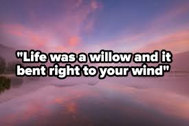 See more ideas about evermore lyrics, taylor swift lyrics, taylor swift songs. Taylor Swift Evermore Best Lyrics