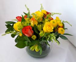 Send a house plant delivery for any occasion from 1800flowers. Happy Days In Troy Mi Floranza Designs