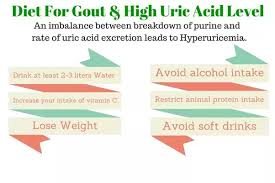 what should be a diet plan for a person with high uric acid