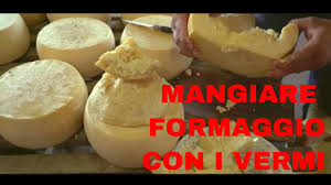 E' il casu marzu bandito dall'unione europea in quanto dichiarato potenzialmente letale, ha un gusto forte e deciso ed è caratterizzato dalla presenza di tanti piccoli vermi che strisciano sulla. Samuel Assaggia Il Formaggio Coi Vermi Casu Marzu Sardo Samuel Piva Youtube