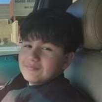 Layla Ramirez's Instagram, Twitter & Facebook