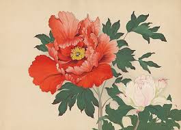 Tentons de répondre à ces questions alors que le printemps arrive inéluctablement. La Pivoine Reine Du Jardinier Chinois Entre Montagnes Et Mers