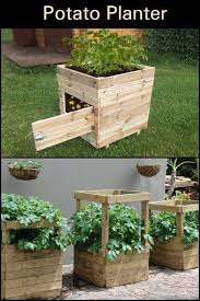 Potatoes How To Plant Them Everywhere My Desired Home Raised Vegetable Gardens Vegetable Garden Raised Beds Potato Planters