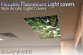 Select a role* homeowner and plan to do the project myself homeowner and plan to have someone else install residential remodeling contractor light commercial contractor facility manager/building. Forest Canopy Drop Ceiling Fluorescent Decorative Ceiling Light Cover Skylight Film