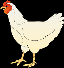 Kumpulan gambar sketsa ayam, gambar sketsa ayam jago bangkok, gambar sketsa ayam yang mudah, gambar sketsa ayam goreng, sketsa ayam betina, cara gambar ayam untuk anak tk. Free Clipart Ayam Betina Andinuryadin