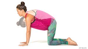 30 Minute Sequence For A Fresh Perspective Beginner S Yoga Poses Beginner Poses Yoga Sequences Yoga For Beginners