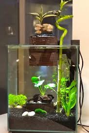 Jual beli hiasan aquarium unik online terlengkap, aman & nyaman di tokopedia. Pin Oleh Jose Rivera Di F I S H Aquarium Ikan Aquascaping Ikan Akuarium