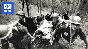 Image result for Yellow 1980 Queensland State Emergency