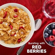 Kellogg's Special K Breakfast Cereal, Family Breakfast, Made with Real  Strawberries, Family Size, Red Berries, 16.9oz Box (1 Box) - Walmart.com