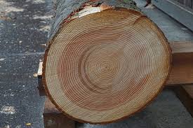 While it is convenient to use the scale to determine which wood is hard or soft, there is more to it. Edistone The Colours Of Douglas Fir Wood
