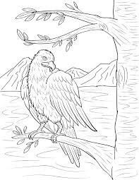 Some of the coloring page names are bald eagle with sharp claws coloring netart, bald eagle is hungry coloring netart, male bald eagle coloring netart, smooth landing bald eagle coloring netart, eagle coloring for adults at colorings to, beautiful bald eagle coloring netart, bald eagle flying finding her mate. Printable Bald Eagle Coloring Page