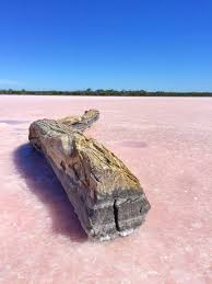 Pink Salt Lake At Dimboola Vic Pink Lake Trip Lake