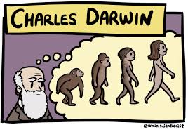 Download high quality darwin cartoons from our collection of 41,940,205 cartoons. Neurohistory Cartoons On Twitter New Single Cartoon On Biologist And Naturalist Charles Darwin Extremely Well Known For His Theory Of Natural Selection His Contributions To Science Have Lead To Decades Of Amazing