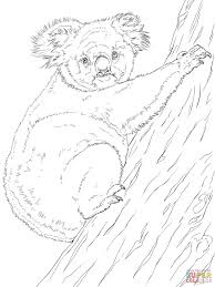 Koala Climbing Tree Coloring Page Free Printable Coloring Pages Animal Coloring Pages Tree Coloring Page Puppy Coloring Pages