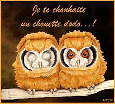 Les bruits de la nuit à la campagne - entre sel et mer