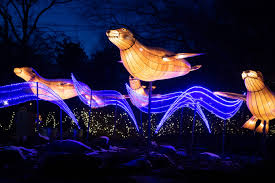 Drive Thru And Walk Thru Holiday Light Shows In The Hudson Valley