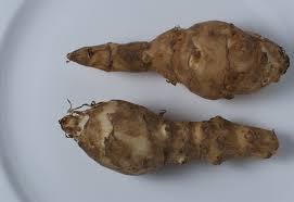 Grow lengkuas, galangal or alpinia galanga, blue ginger (南姜) or 高良姜 galangal is an ingredient in chicken and fish curry dishes and also my favourite hari raya delicacy, the rendang. Topinambur W Profilaktyce Cukrzycy Typu Ii Dieta Pl