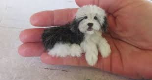 Ooak Handmade Miniature Old English Sheepdog Dog 1 12 Dollhouse Igma Jparrott Old English Sheepdog English Sheepdog Dog Doll House Pets