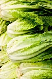 Protein Kale 11 Grams Spinach Cooked 6 Grams Brocolli 4gr Kale Is Such A Super Food Green Leaf Romaine Lettuce Growing Leafy Vegetables Romaine Lettuce