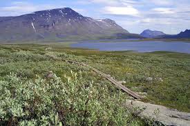 Den kungsleden kann jeder wandern. Auf Des Konigs Pfad Der Kungsleden Auf Tour