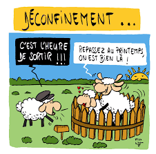 Afrique amour animaux argent belle blog centerblog cheval chevaux coup fond france gif gifs google gratuit homme image infos jeux merci moi monde plat. Deconfinement Blagues Et Dessins