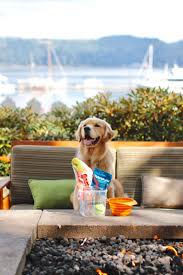 Pet friendly resort near me. Pnw Pet Friendly Resort Pet Friendly Resort Alderbrook Resort Pet Friendly