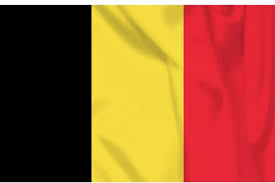 Hendrik van leuven verscheurt de belgische vlag, 1831 hendrik van leuven, scheurd de vlag welke de belg voor het kasteel van. Vlag Belgie