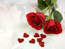ورد جوري احمر رومانسي ارق وردة و اجمل عطر عجيب وغريب